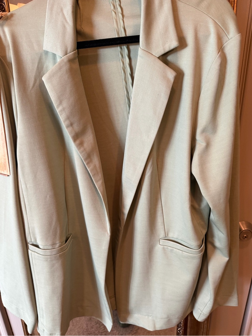 white birch Mint Green Blazer Jacket